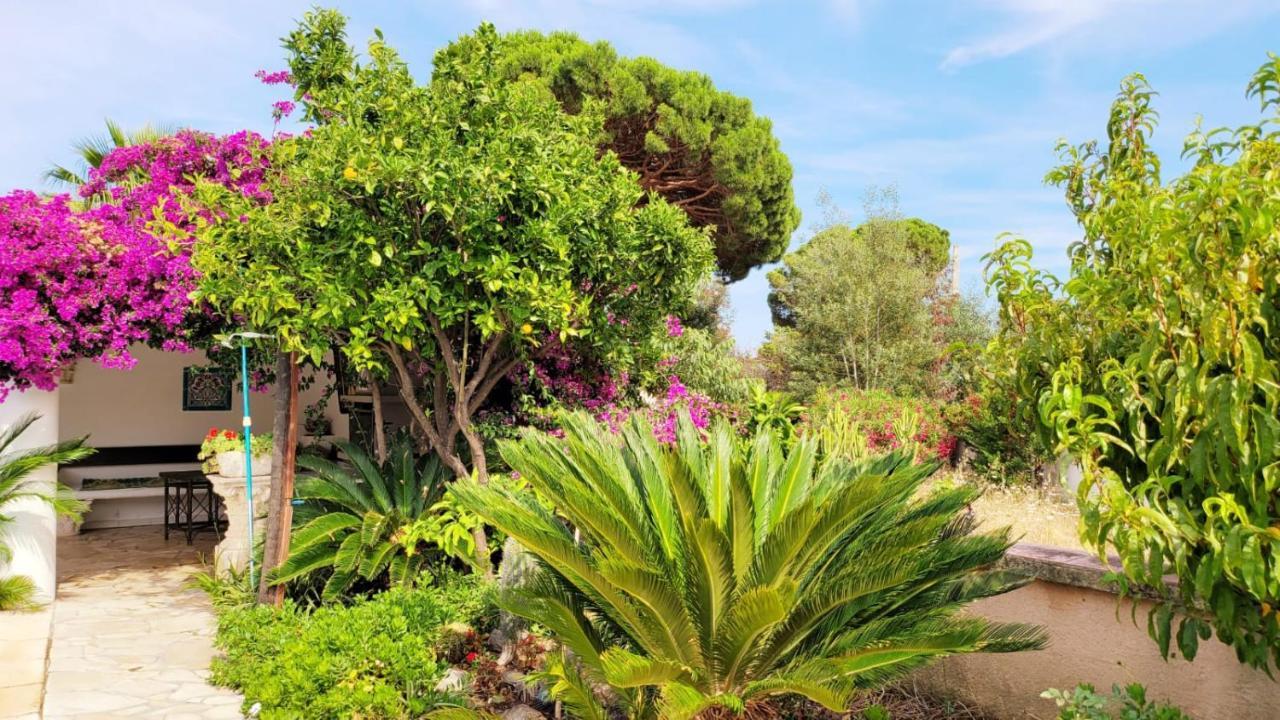 Villa Provencale A Sainte Maxime, Golf De Saint Tropez Exteriör bild