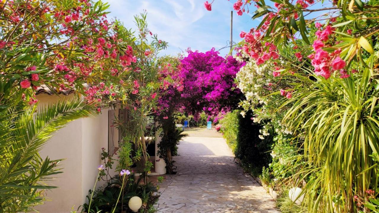 Villa Provencale A Sainte Maxime, Golf De Saint Tropez Exteriör bild