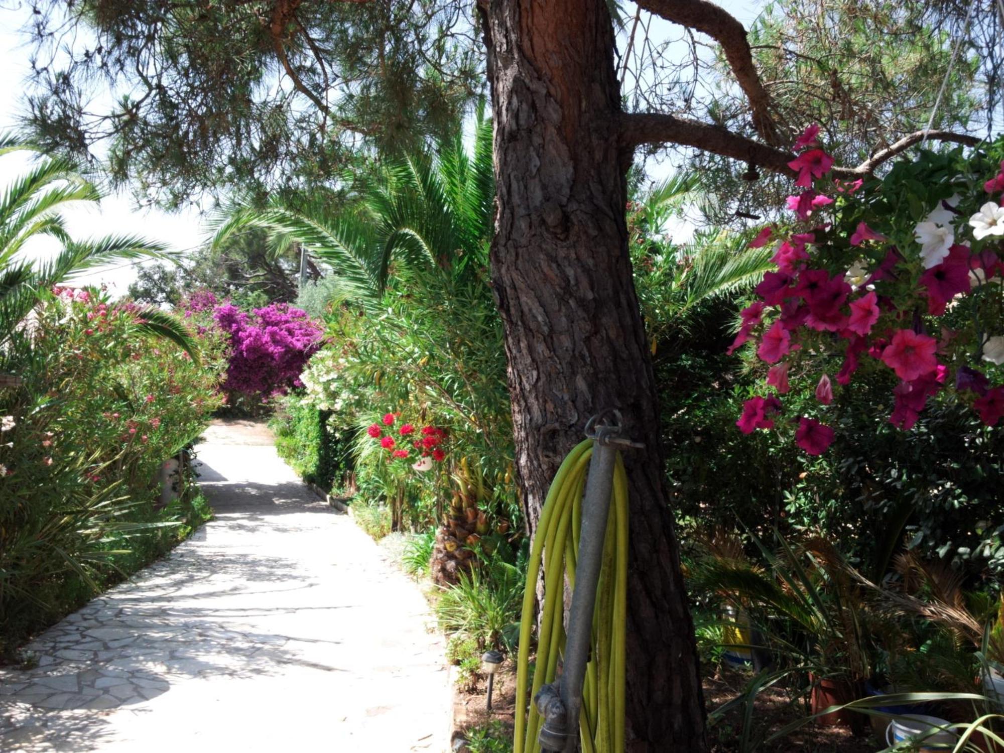 Villa Provencale A Sainte Maxime, Golf De Saint Tropez Exteriör bild