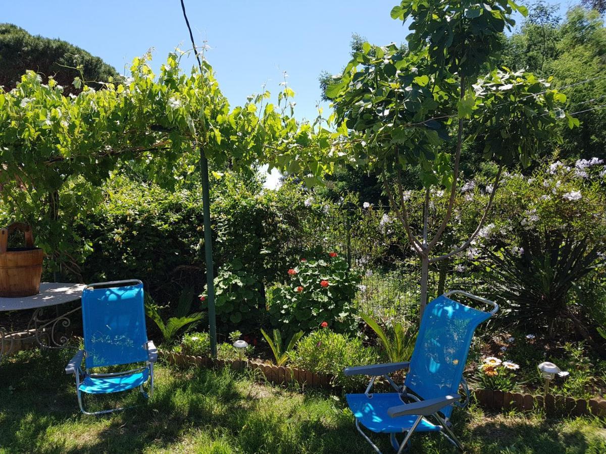 Villa Provencale A Sainte Maxime, Golf De Saint Tropez Exteriör bild
